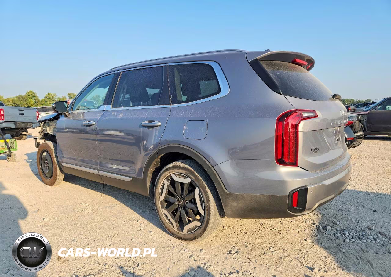 2025 Kia Telluride S VIN:5XYP6DGC2SG693106 - 2