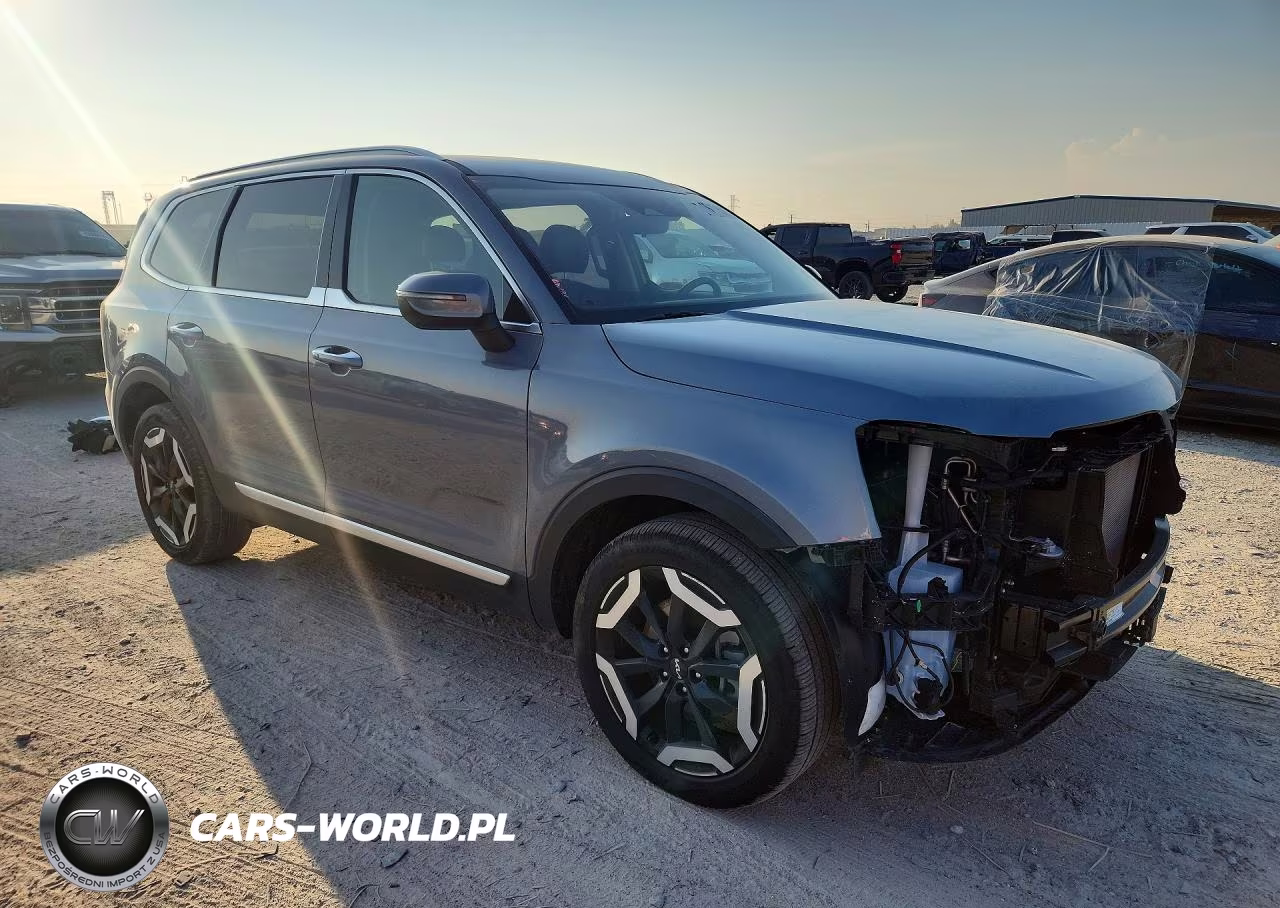 2025 Kia Telluride S VIN:5XYP6DGC2SG693106 - 4