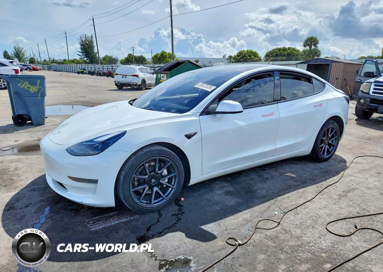 2023 Tesla Model 3 VIN:5YJ3E1EA6PF562017 - 1