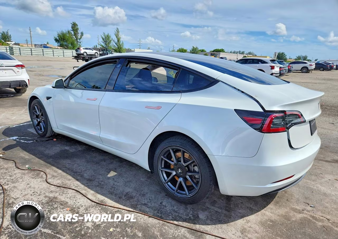 2023 Tesla Model 3 VIN:5YJ3E1EA6PF562017 - 2