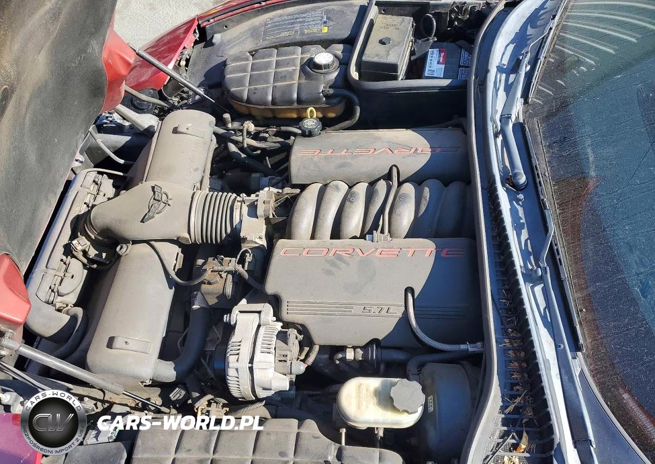 2002 Chevrolet Corvette VIN:1G1YY22GX25112109 - 11