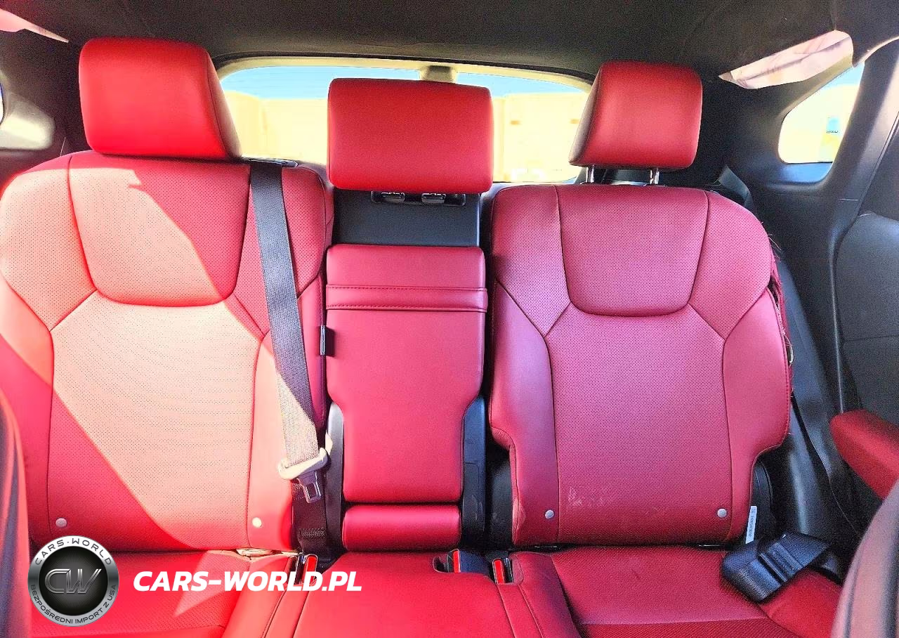 2024 Lexus Rx 350 F Sport Handling VIN:2T2BAMCA1RC046484 - 10