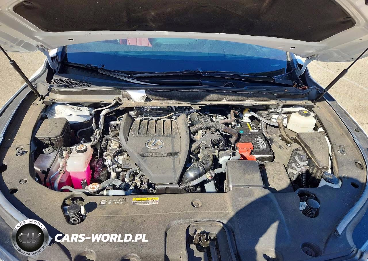 2024 Lexus Rx 350 F Sport Handling VIN:2T2BAMCA1RC046484 - 12