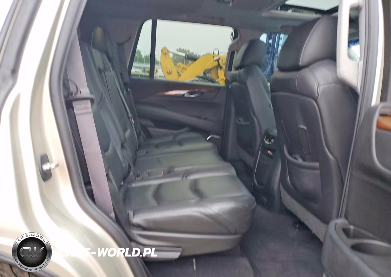 2016 Cadillac Escalade Premium VIN:1GYS4CKJ0GR161887 - 10