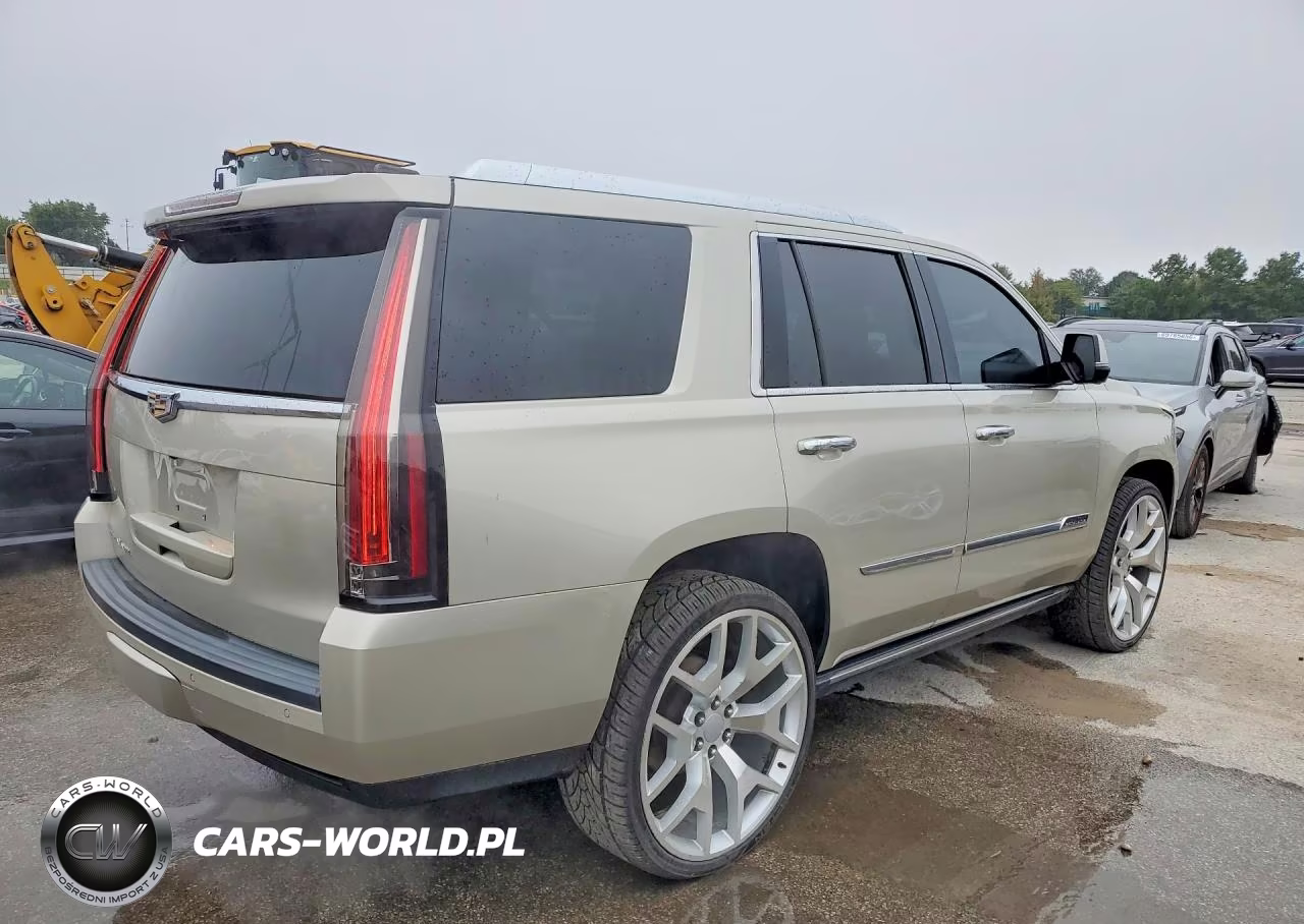 2016 Cadillac Escalade Premium VIN:1GYS4CKJ0GR161887 - 3