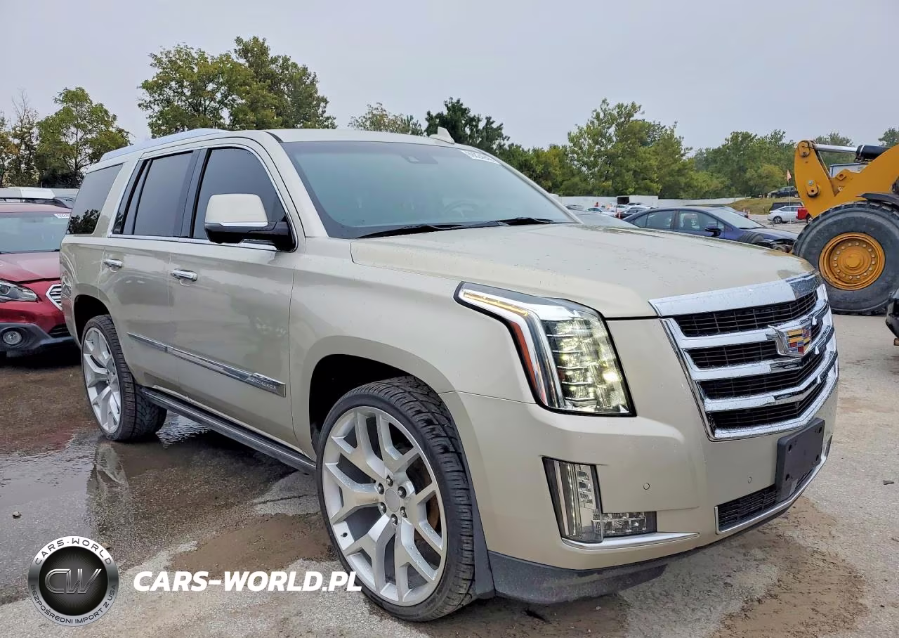 2016 Cadillac Escalade Premium VIN:1GYS4CKJ0GR161887 - 4