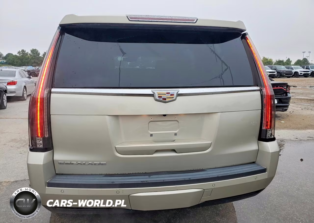 2016 Cadillac Escalade Premium VIN:1GYS4CKJ0GR161887 - 6