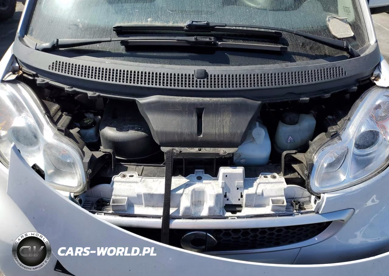 2015 Smart Fortwo Pure VIN:WMEEJ3BA1FK807250 - 11