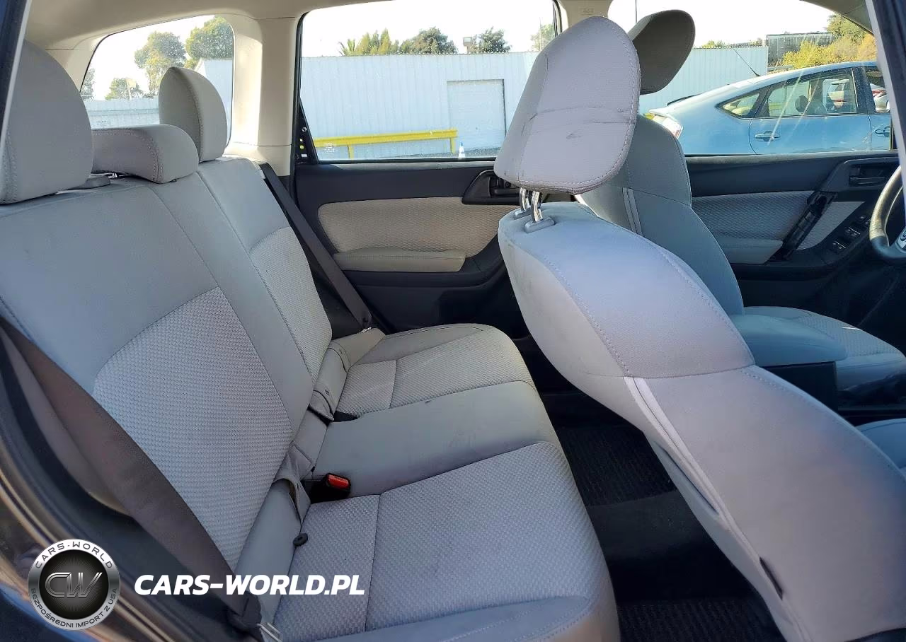 2017 Subaru Forester 2.5I VIN:JF2SJABC0HH419869 - 10