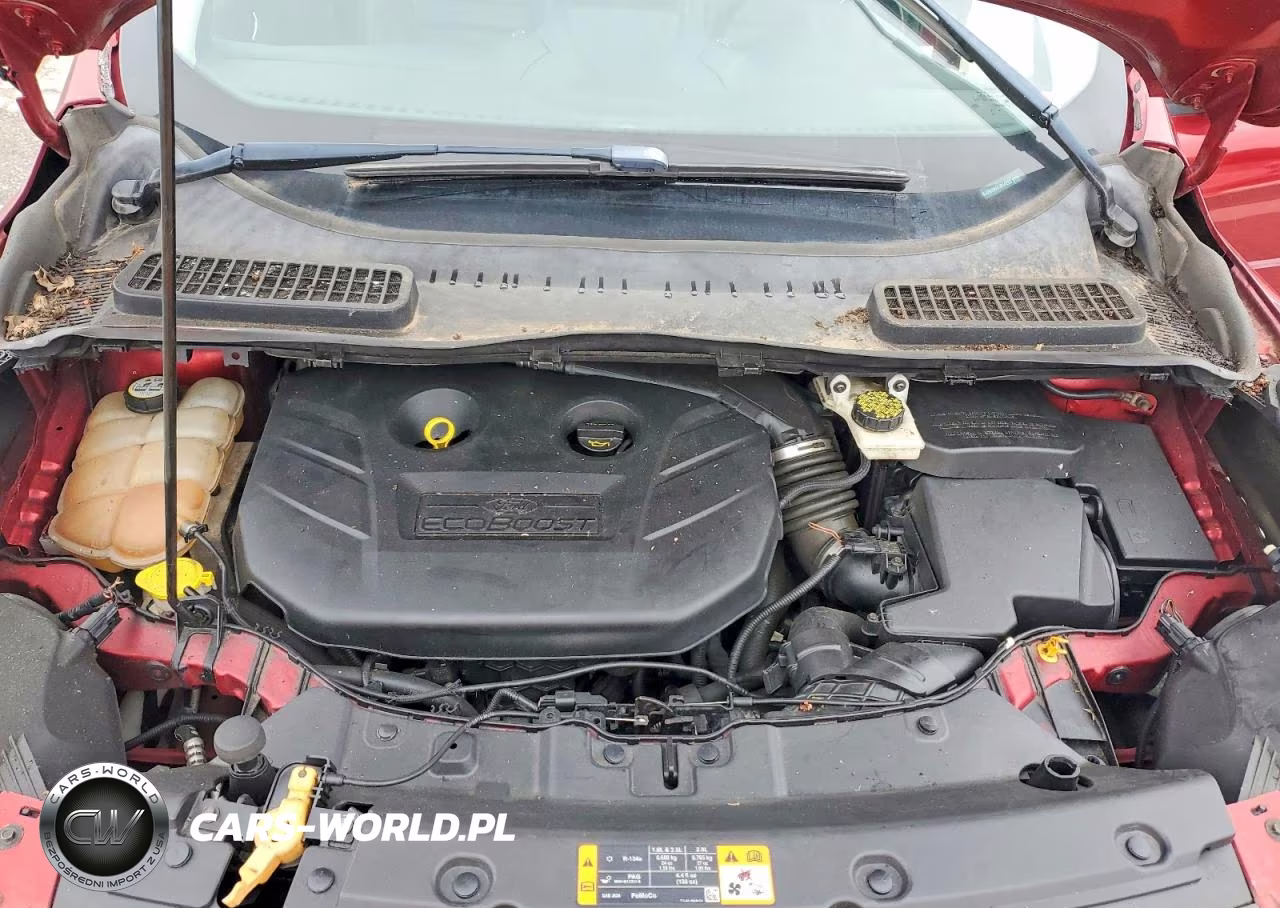 2013 Ford Escape Sel VIN:1FMCU9H96DUB54263 - 12
