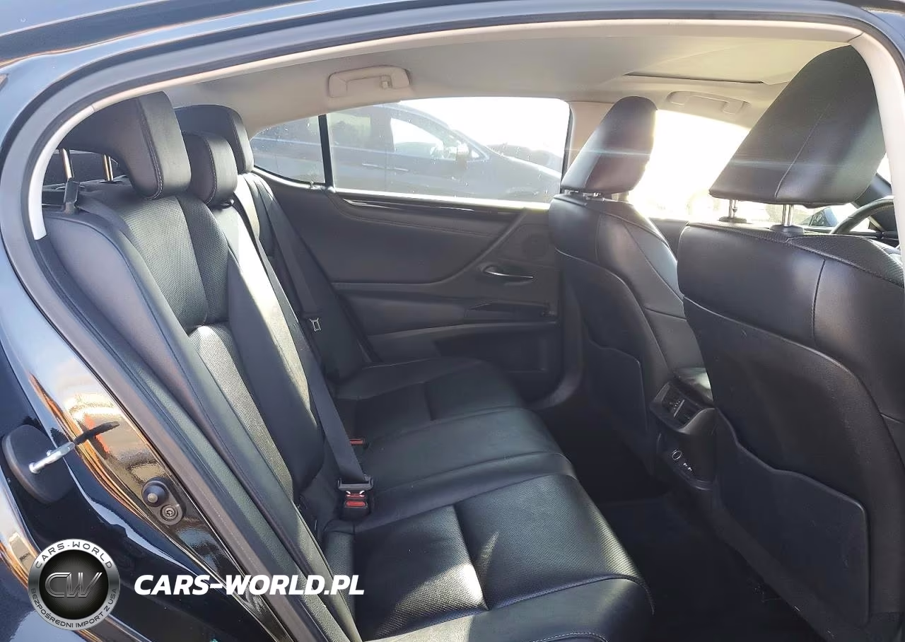 2021 Lexus Es 300H VIN:58ADA1C16MU003674 - 10