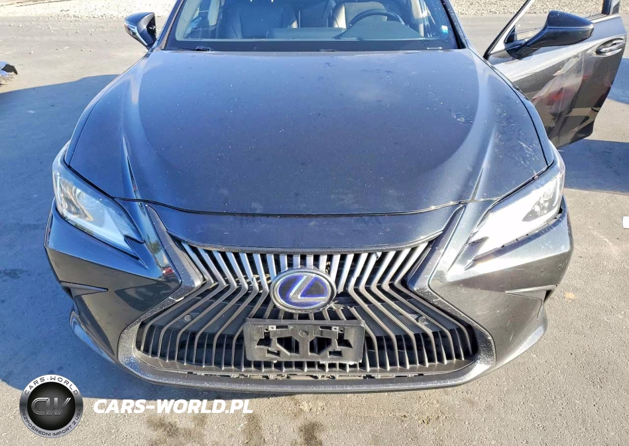 2021 Lexus Es 300H VIN:58ADA1C16MU003674 - 11
