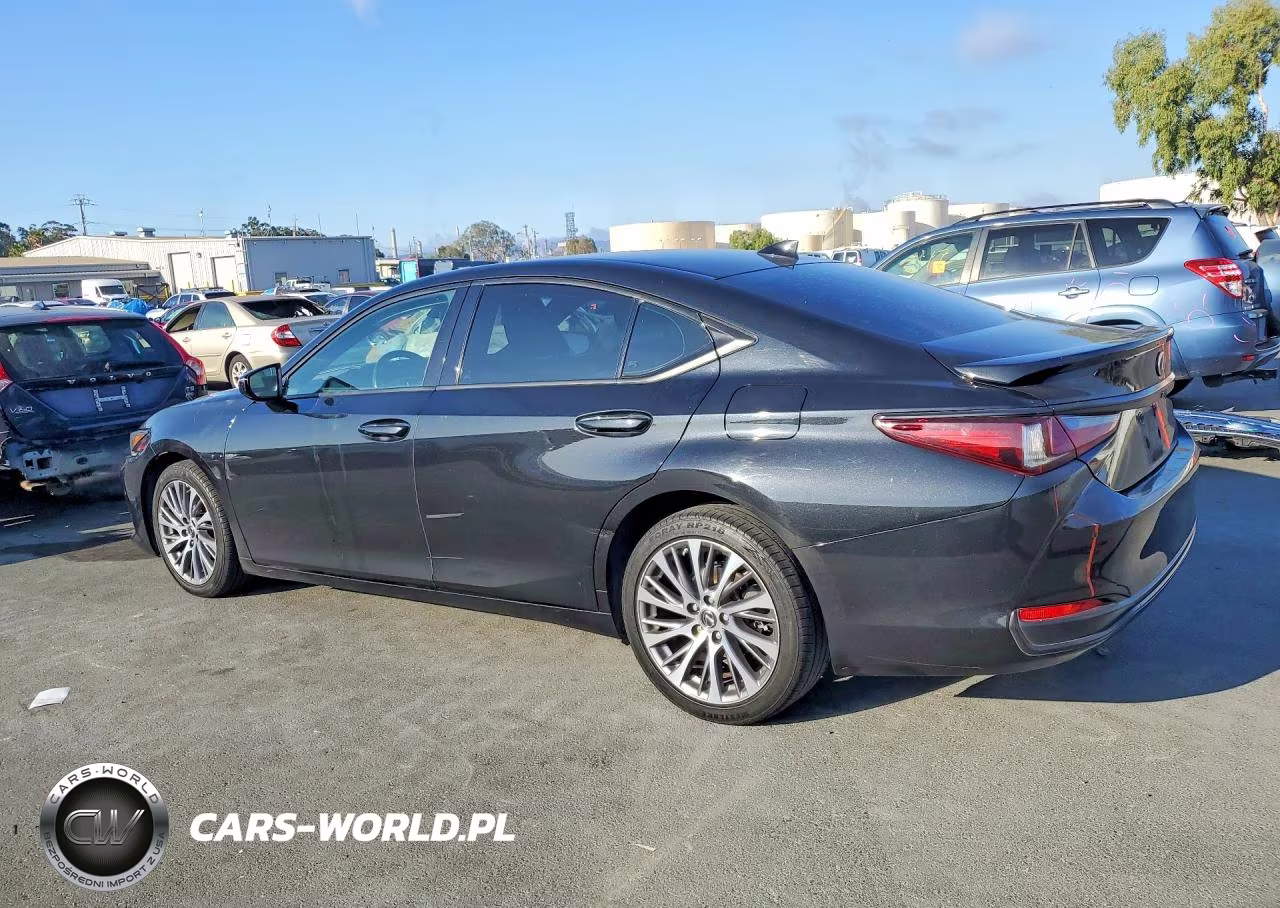 2021 Lexus Es 300H VIN:58ADA1C16MU003674 - 2