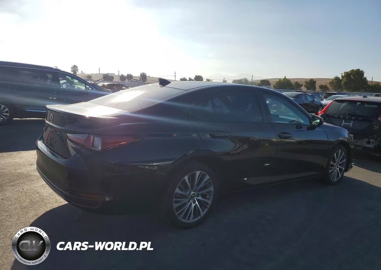 2021 Lexus Es 300H VIN:58ADA1C16MU003674 - 3