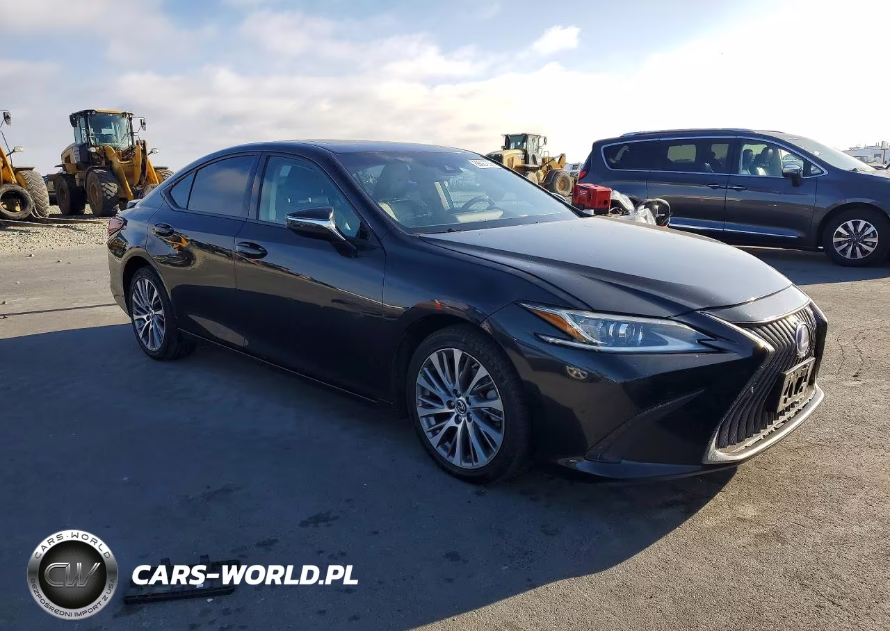 2021 Lexus Es 300H VIN:58ADA1C16MU003674 - 4
