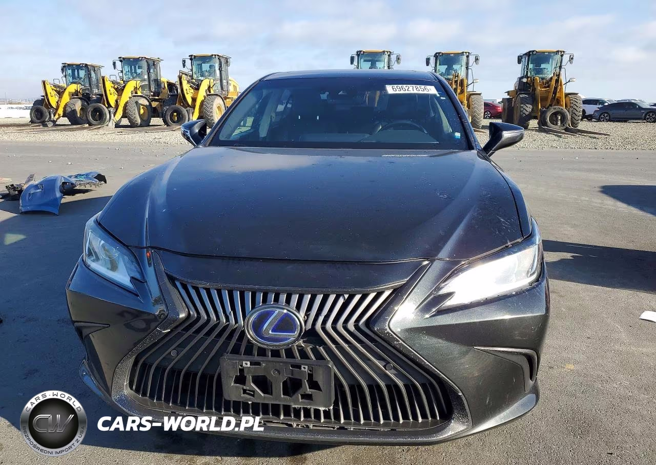 2021 Lexus Es 300H VIN:58ADA1C16MU003674 - 5