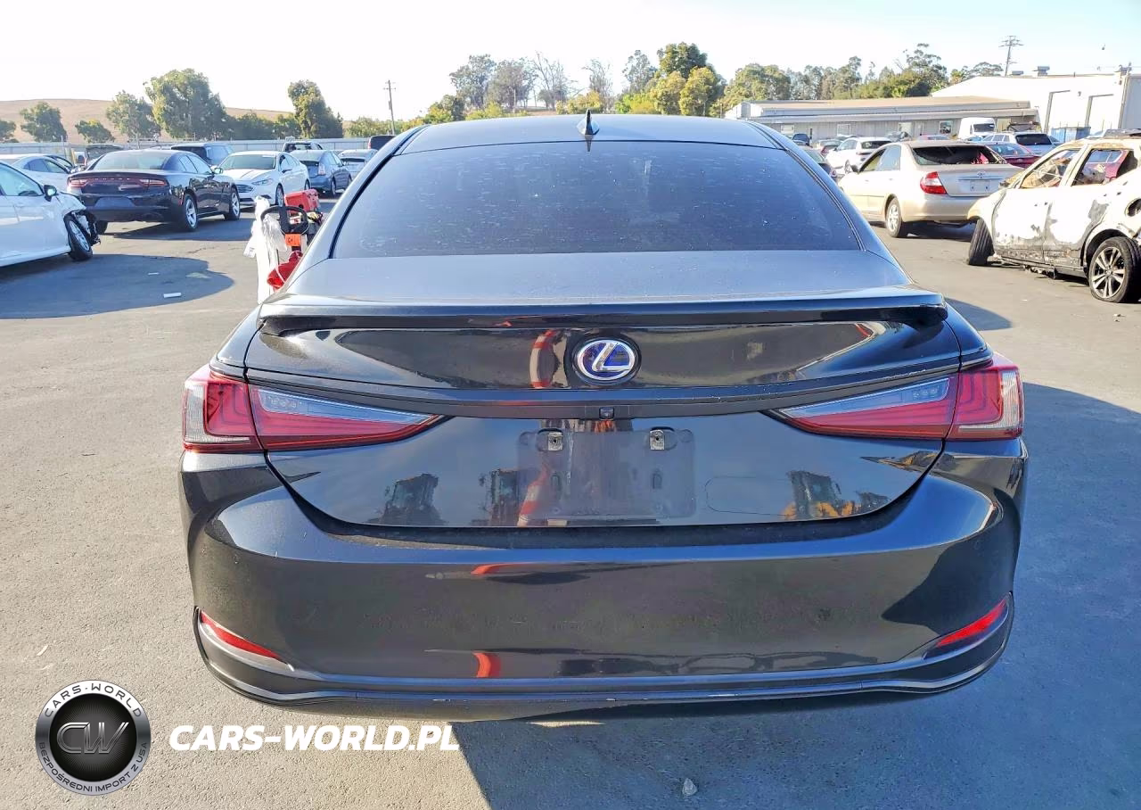 2021 Lexus Es 300H VIN:58ADA1C16MU003674 - 6