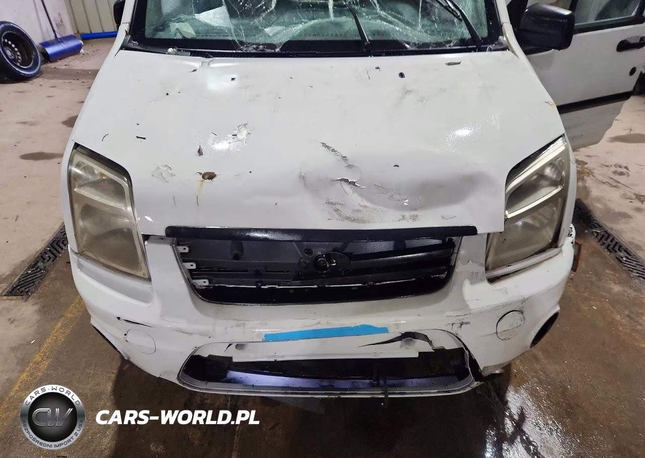 2010 Ford Transit Connect Xlt VIN:NM0LS7BN7AT041134 - 12