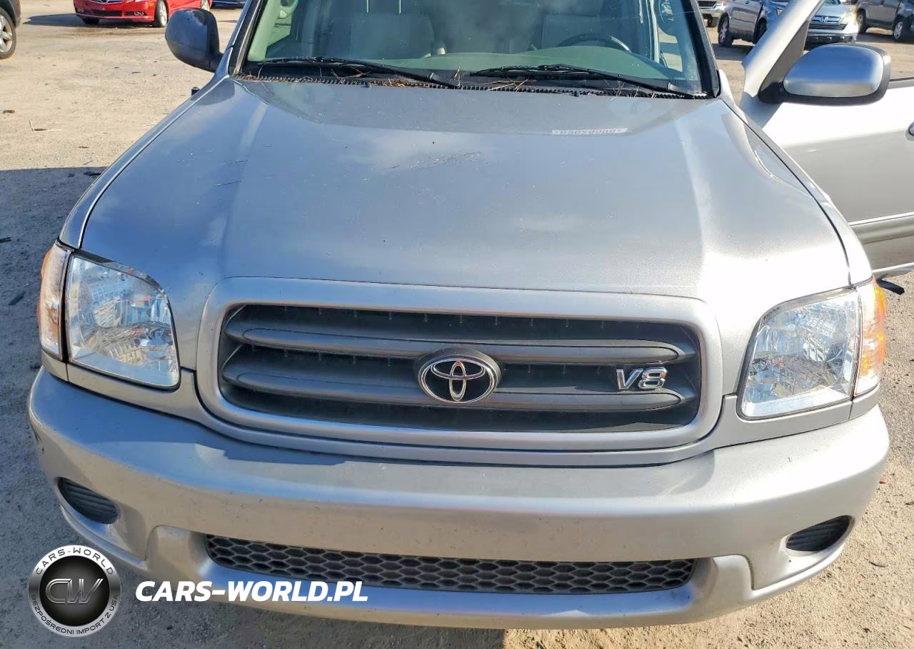 2002 Toyota Sequoia Sr5 VIN:5TDZT34A22S096569 - 12