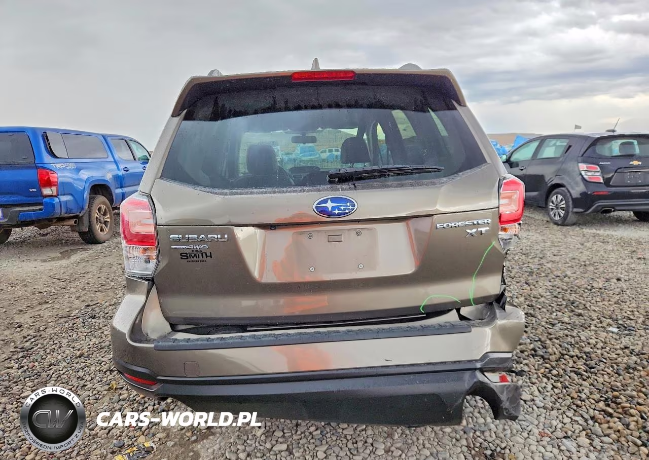 2017 Subaru Forester 2.0Xt Touring VIN:JF2SJGTC4HH560073 - 6