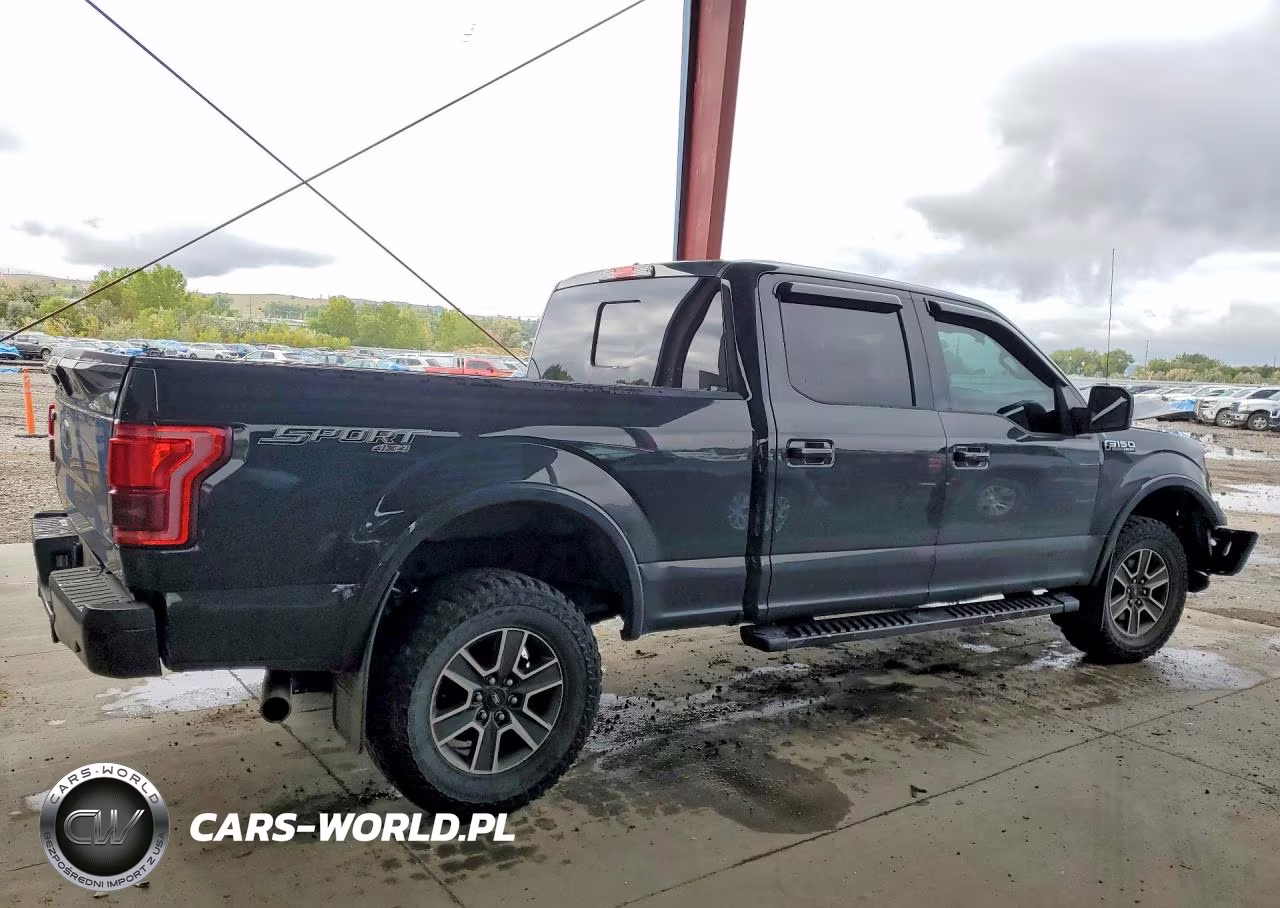 2016 Ford F150 Supercrew VIN:1FTFW1EF4GKD84357 - 3