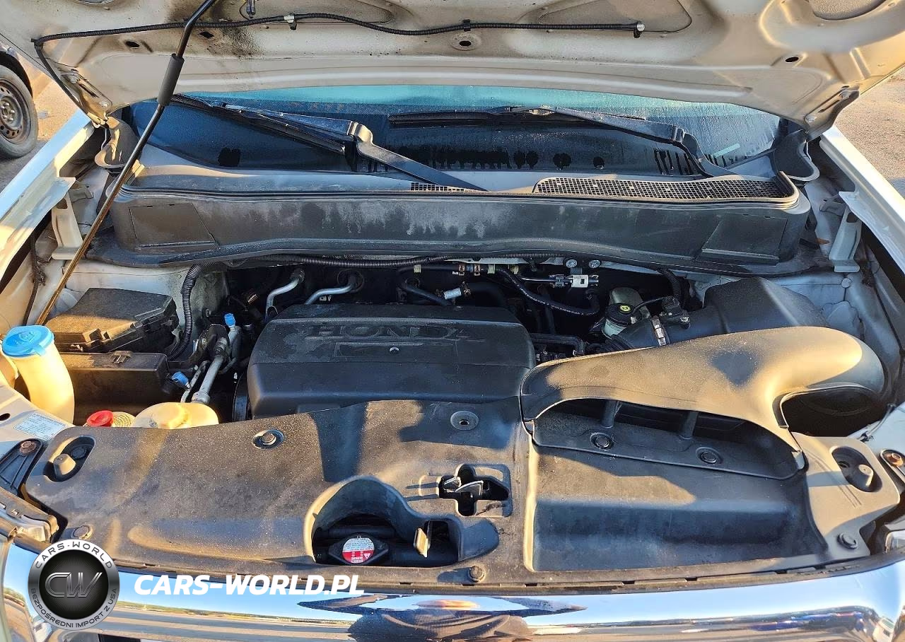 2009 Honda Pilot Exl VIN:5FNYF48579B039594 - 12