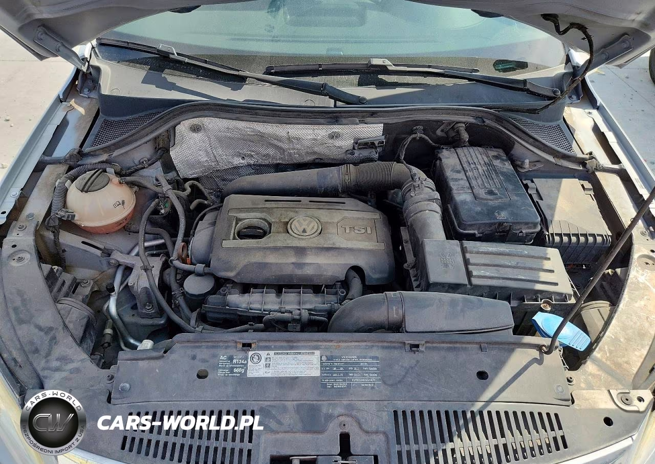 2011 Volkswagen Tiguan S VIN:WVGAV7AX5BW512830 - 12