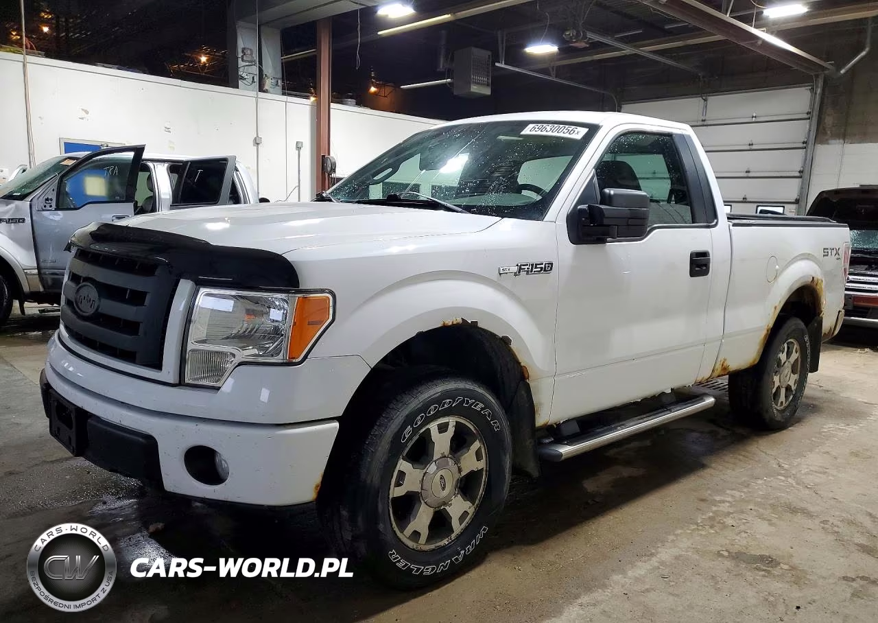 2009 Ford F150