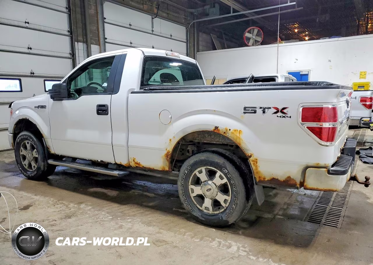 2009 Ford F150 VIN:1FTRF14W29KA95544 - 2