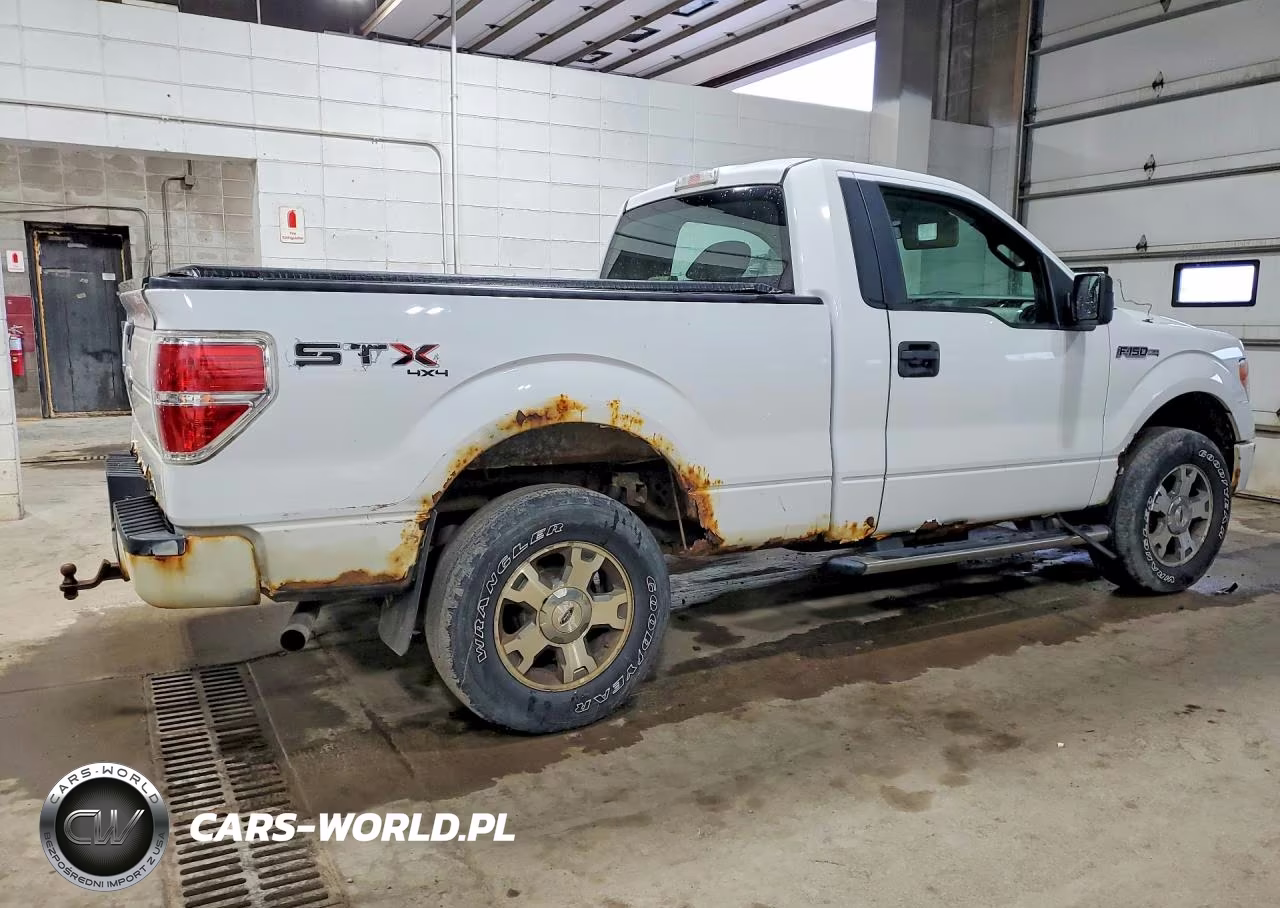 2009 Ford F150 VIN:1FTRF14W29KA95544 - 3
