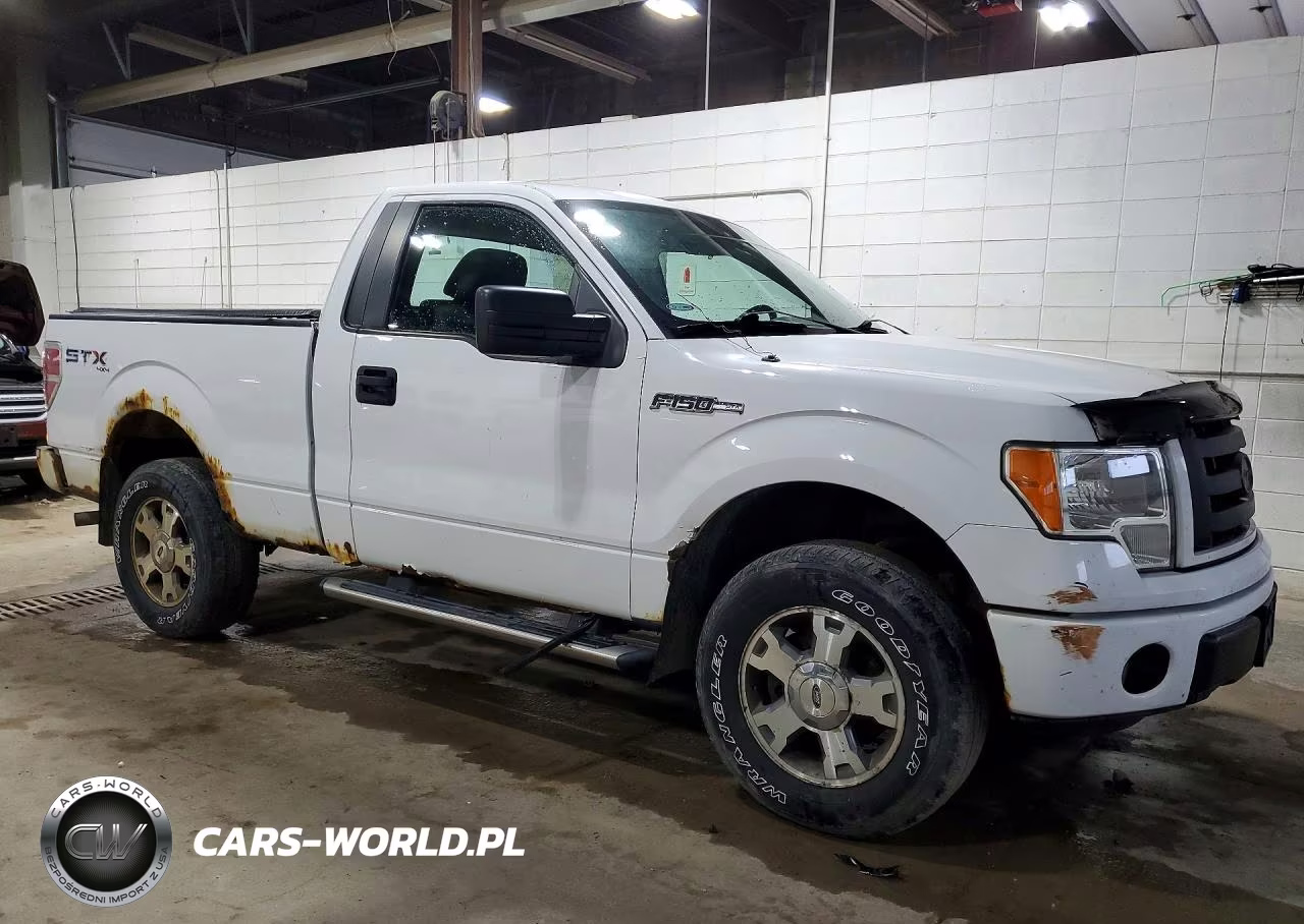 2009 Ford F150 VIN:1FTRF14W29KA95544 - 4