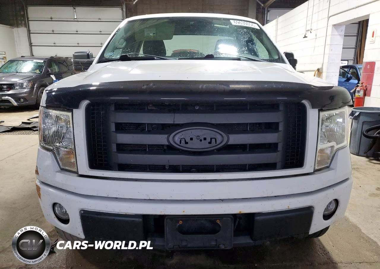 2009 Ford F150 VIN:1FTRF14W29KA95544 - 5