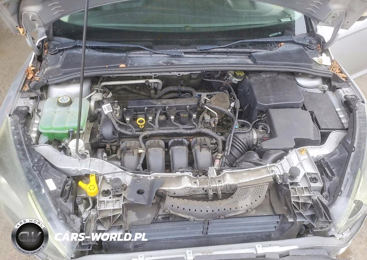 2015 Ford Focus Se VIN:1FADP3F27FL221941 - 11