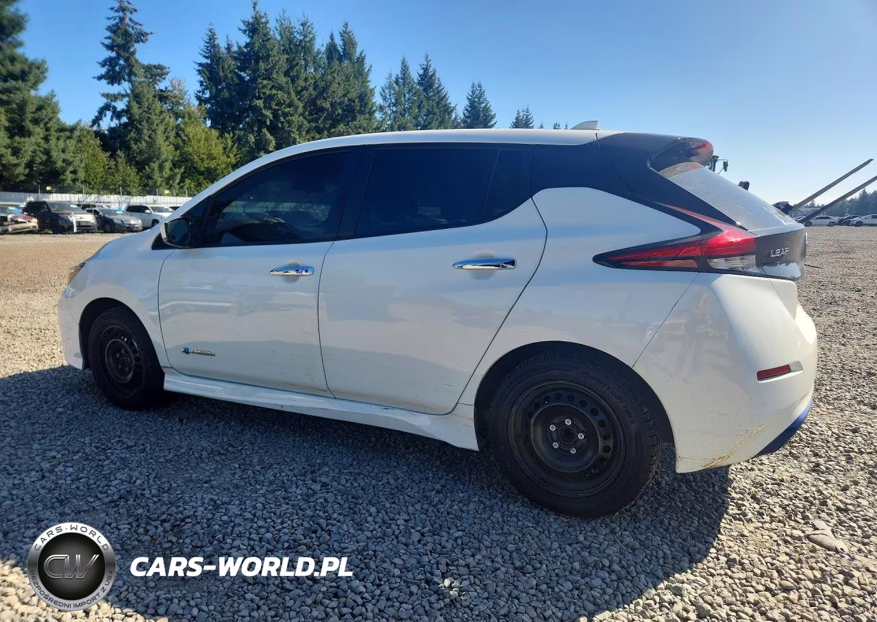 2019 Nissan Leaf S VIN:1N4AZ1CP5KC307244 - 2