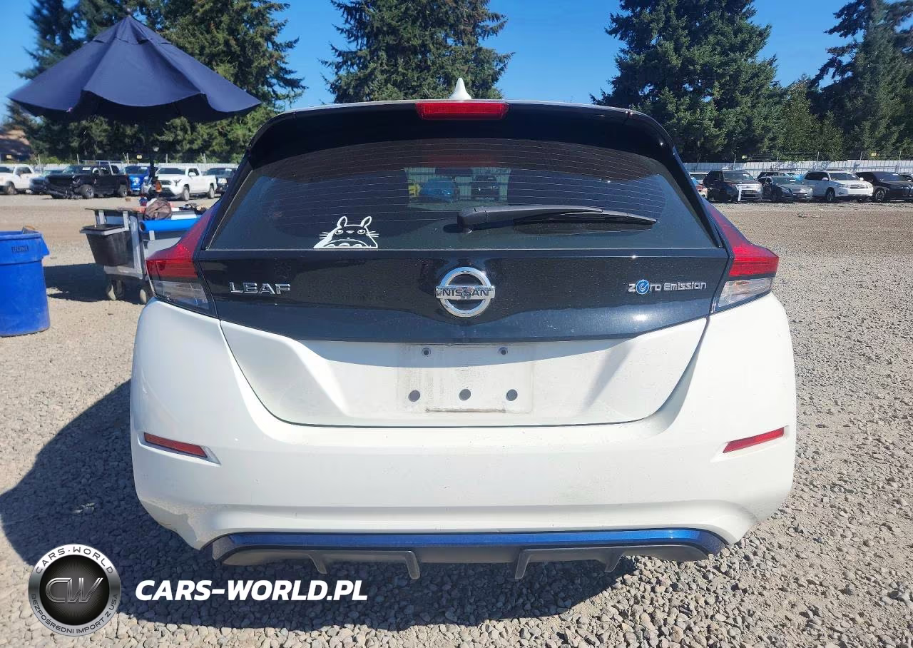 2019 Nissan Leaf S VIN:1N4AZ1CP5KC307244 - 6
