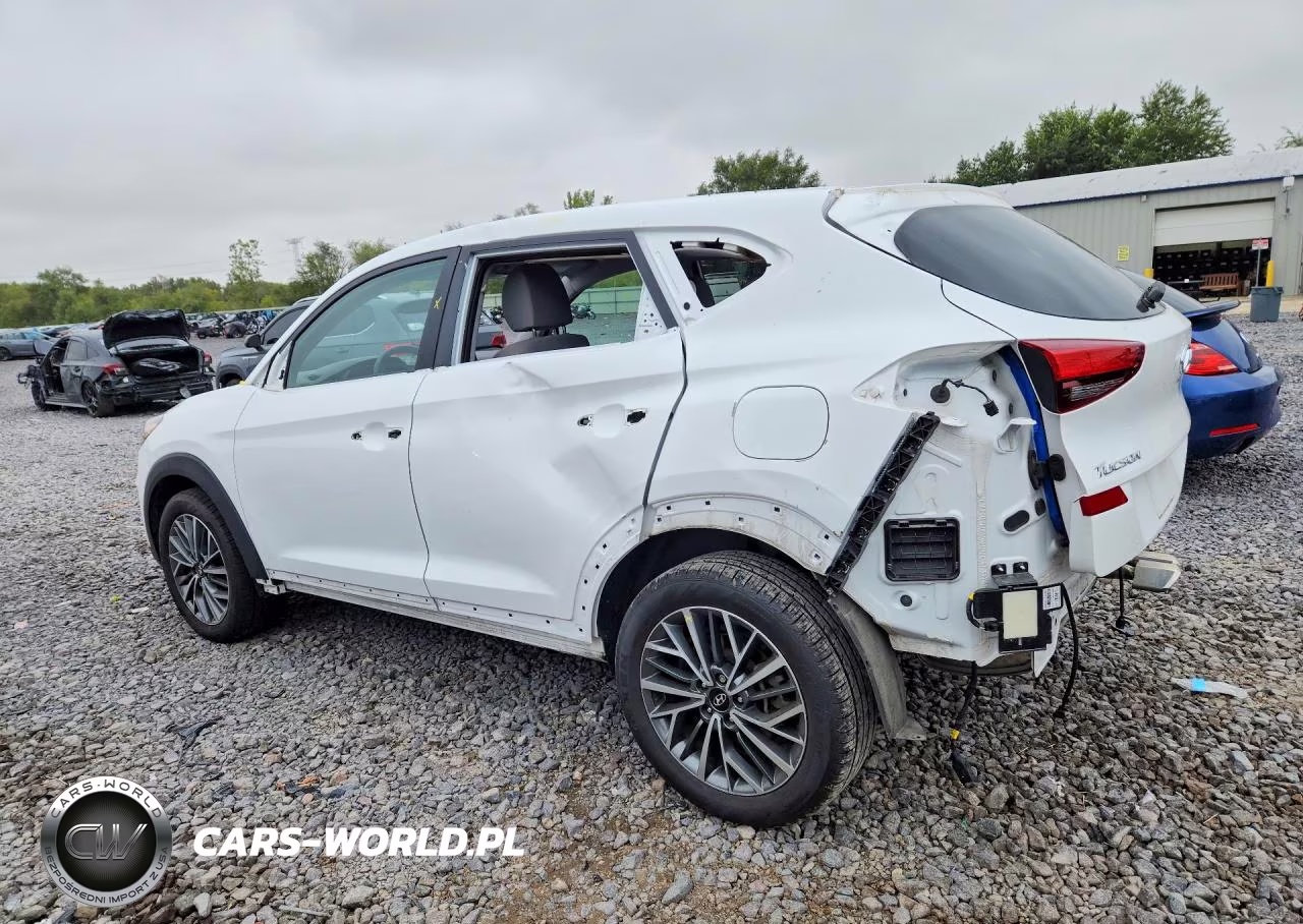 2019 Hyundai Tucson Sel VIN:KM8J33AL5KU034822 - 2