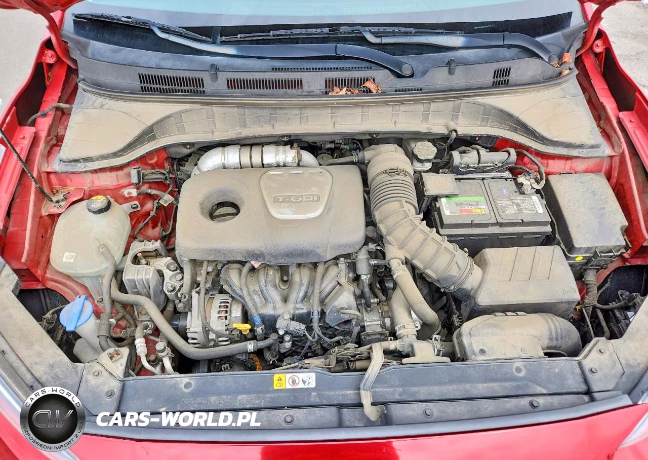 2019 Hyundai Kona Limited VIN:KM8K3CA58KU265770 - 12