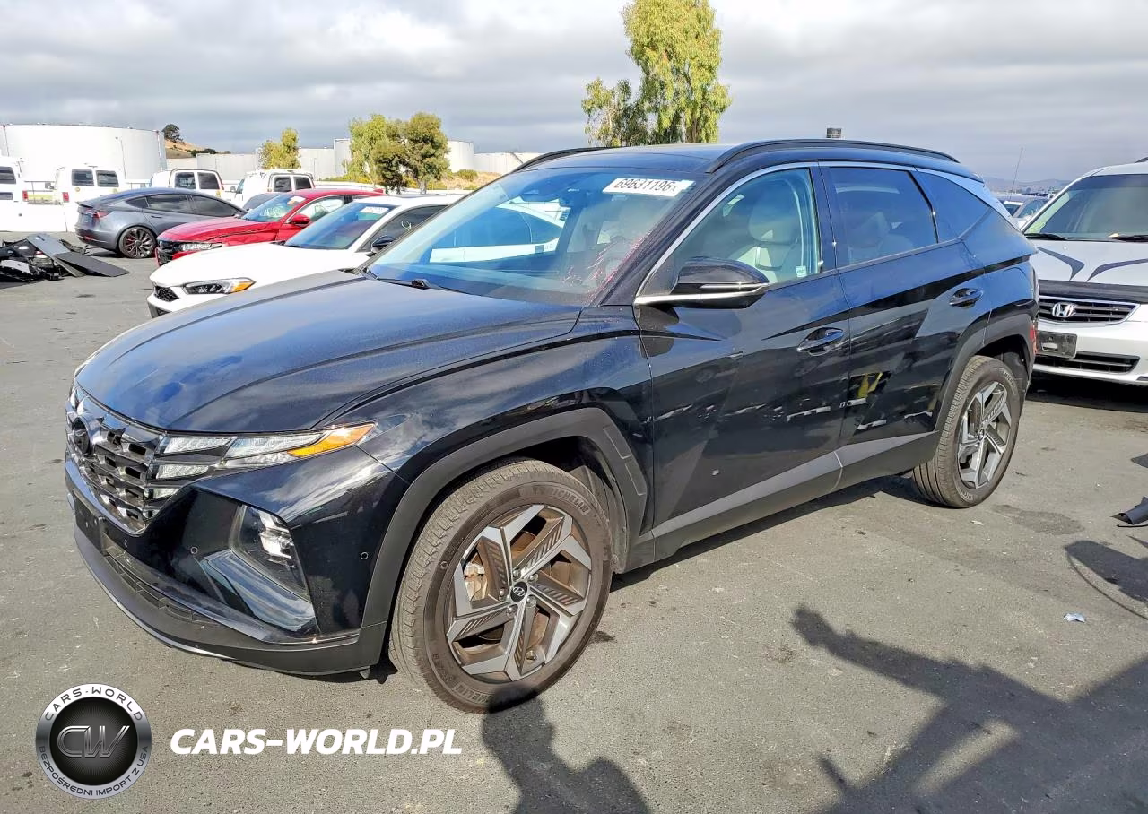 2023 Hyundai Tucson Limited VIN:5NMJECAE2PH226312 - 1