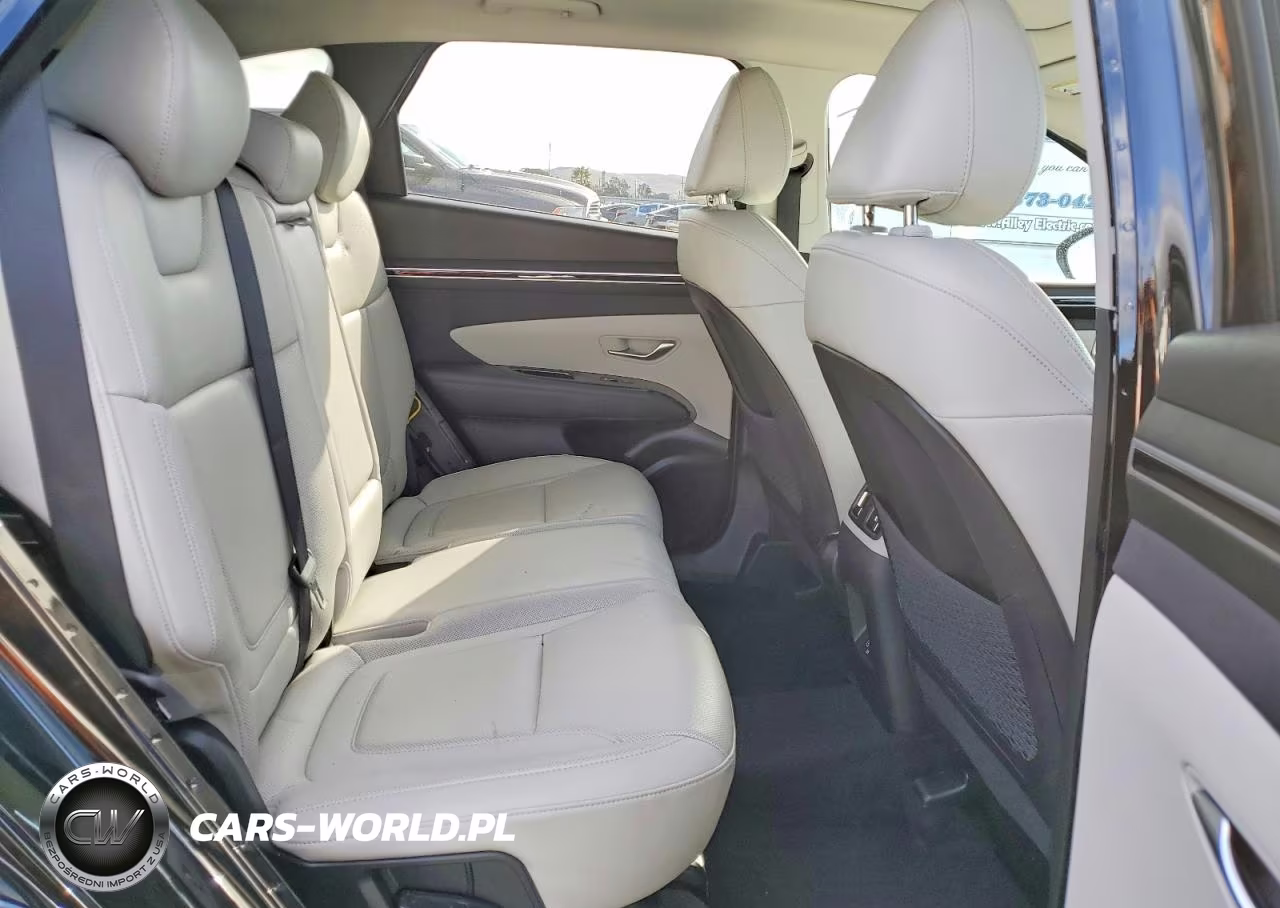 2023 Hyundai Tucson Limited VIN:5NMJECAE2PH226312 - 10