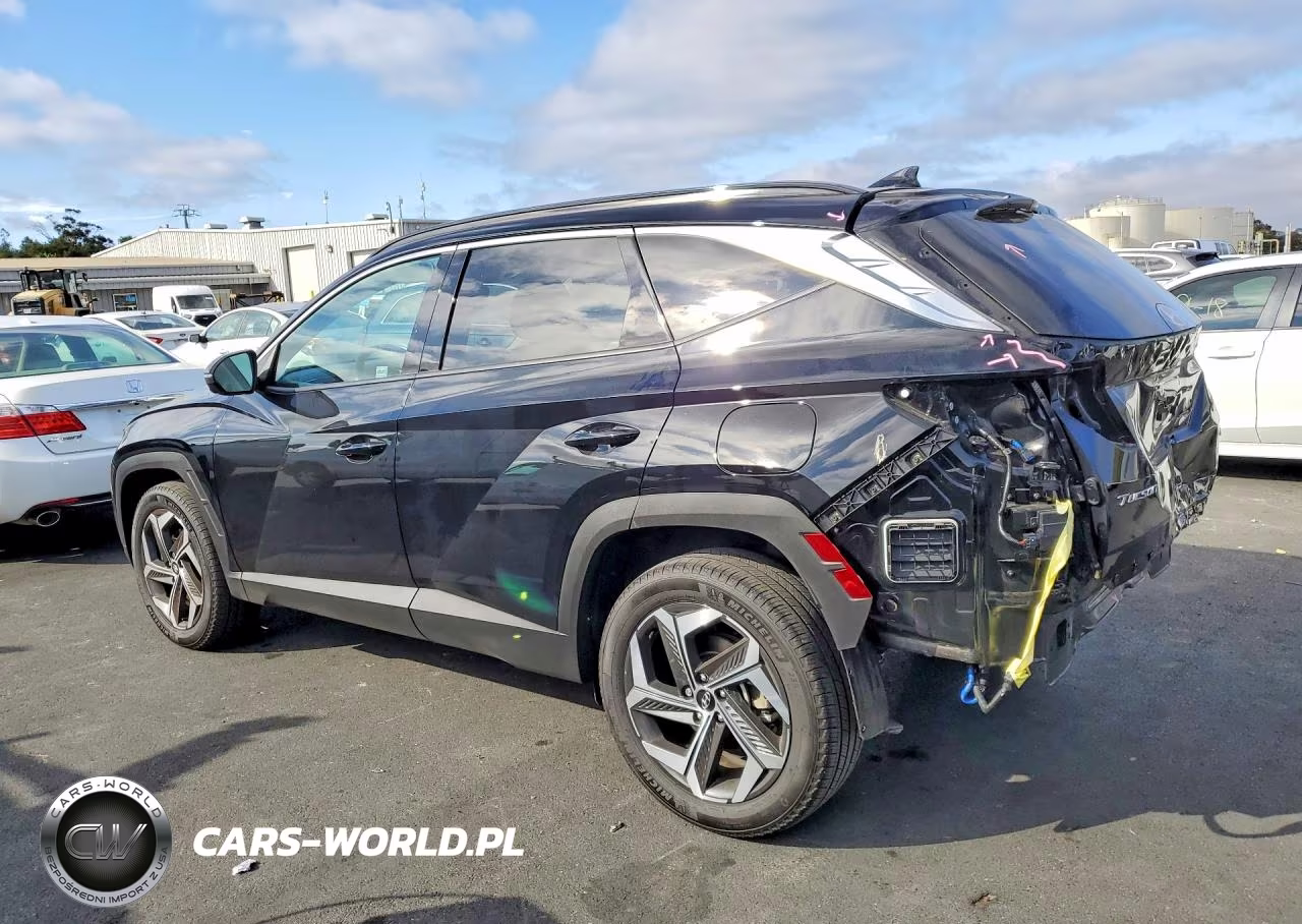2023 Hyundai Tucson Limited VIN:5NMJECAE2PH226312 - 2