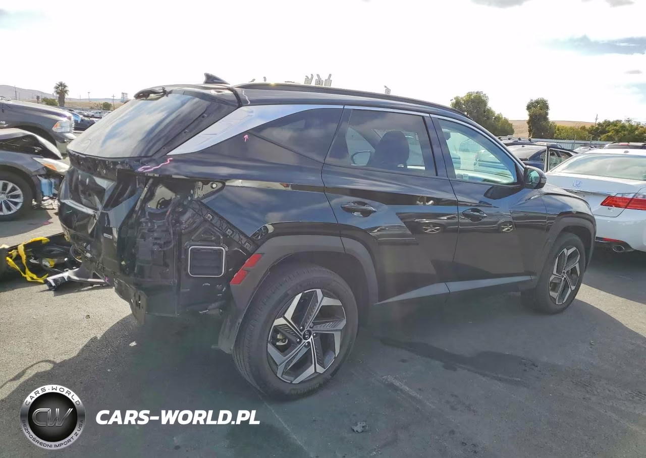 2023 Hyundai Tucson Limited VIN:5NMJECAE2PH226312 - 3