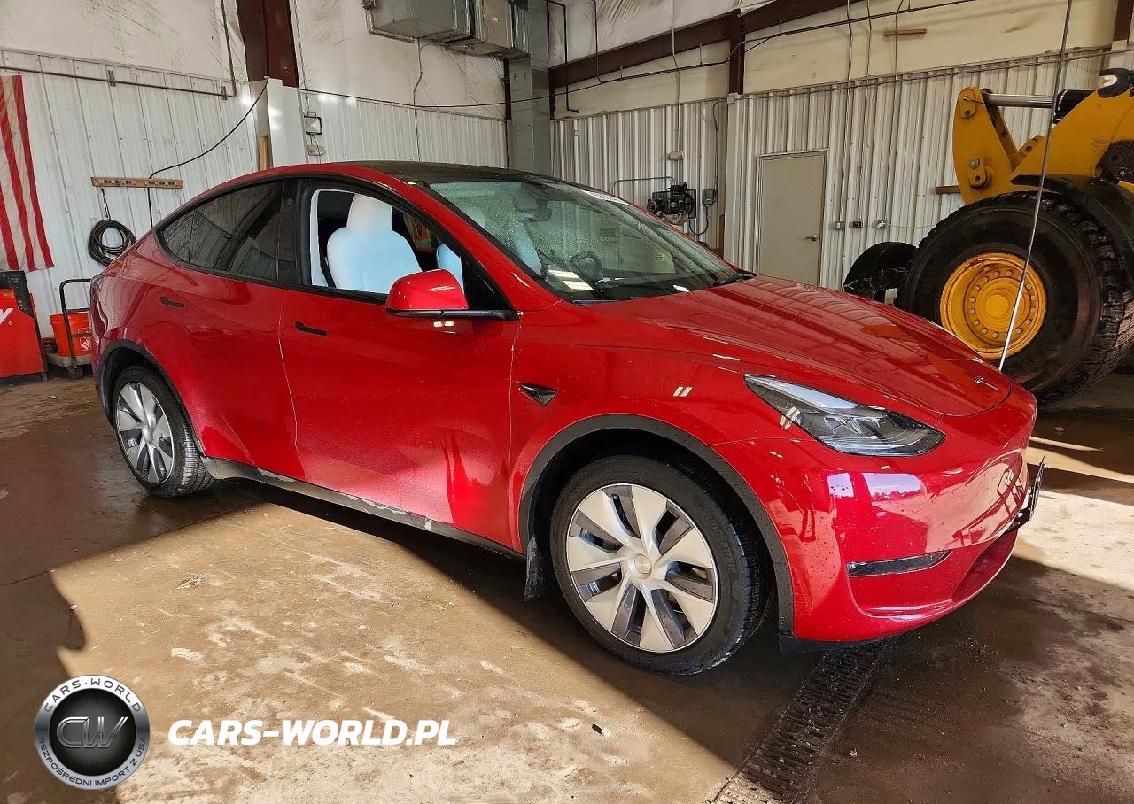 2023 Tesla Model Y VIN:7SAYGDEE2PF780222 - 4