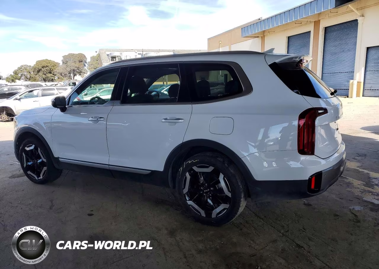 2025 Kia Telluride S VIN:5XYP6DGC0SG652814 - 2