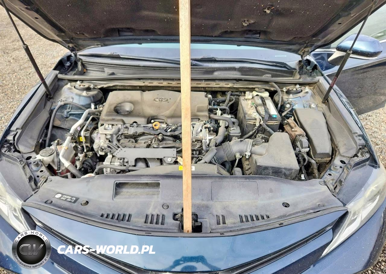 2019 Toyota Camry Le VIN:4T1B11HK8KU235030 - 11