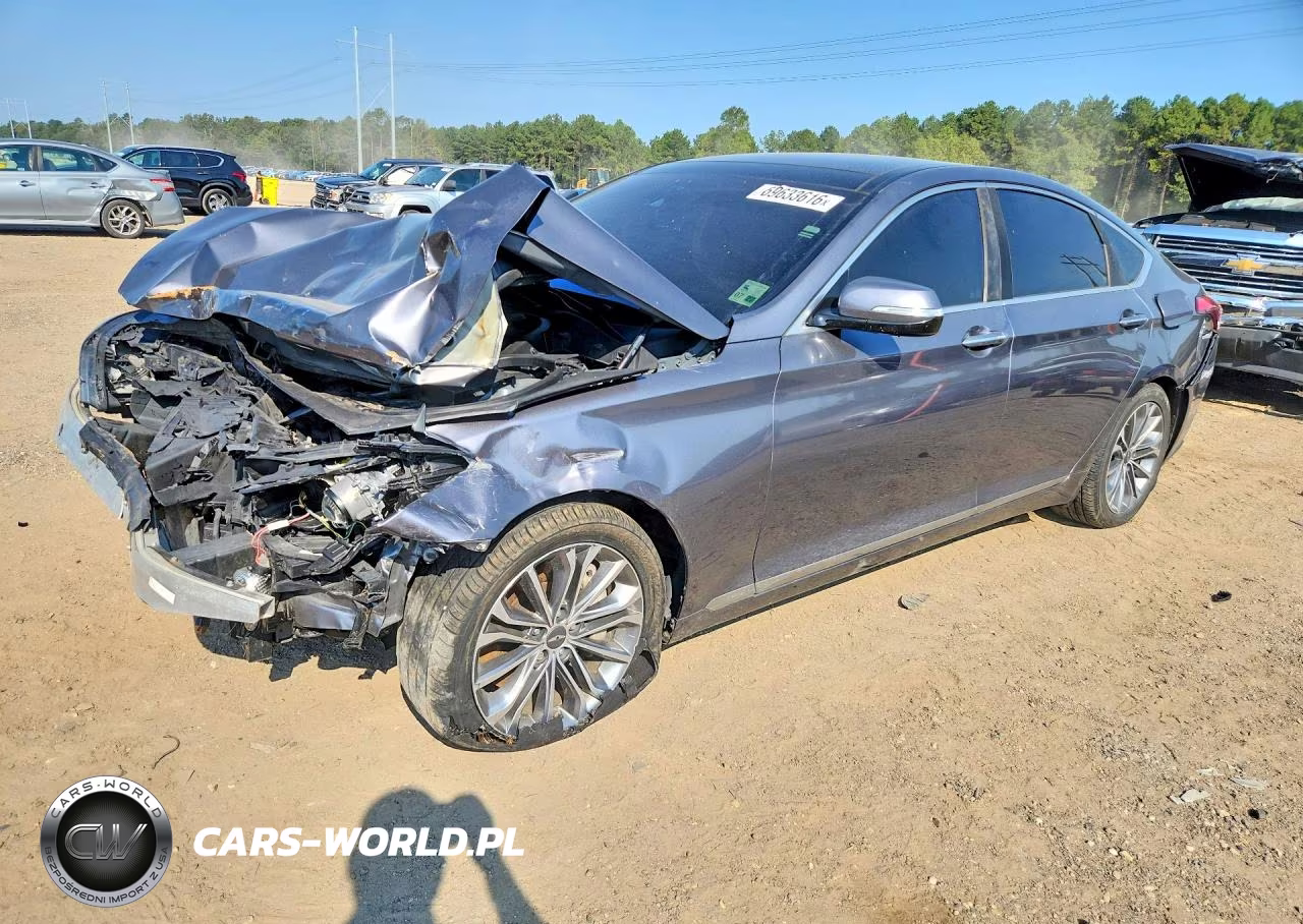 2015 Hyundai Genesis 3.8L VIN:KMHGN4JE6FU070116 - 1
