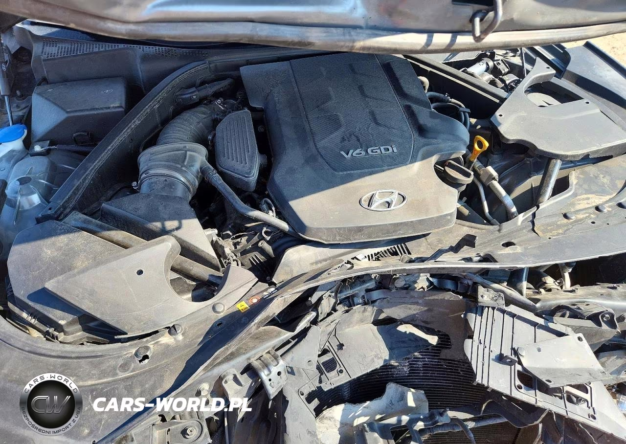 2015 Hyundai Genesis 3.8L VIN:KMHGN4JE6FU070116 - 11