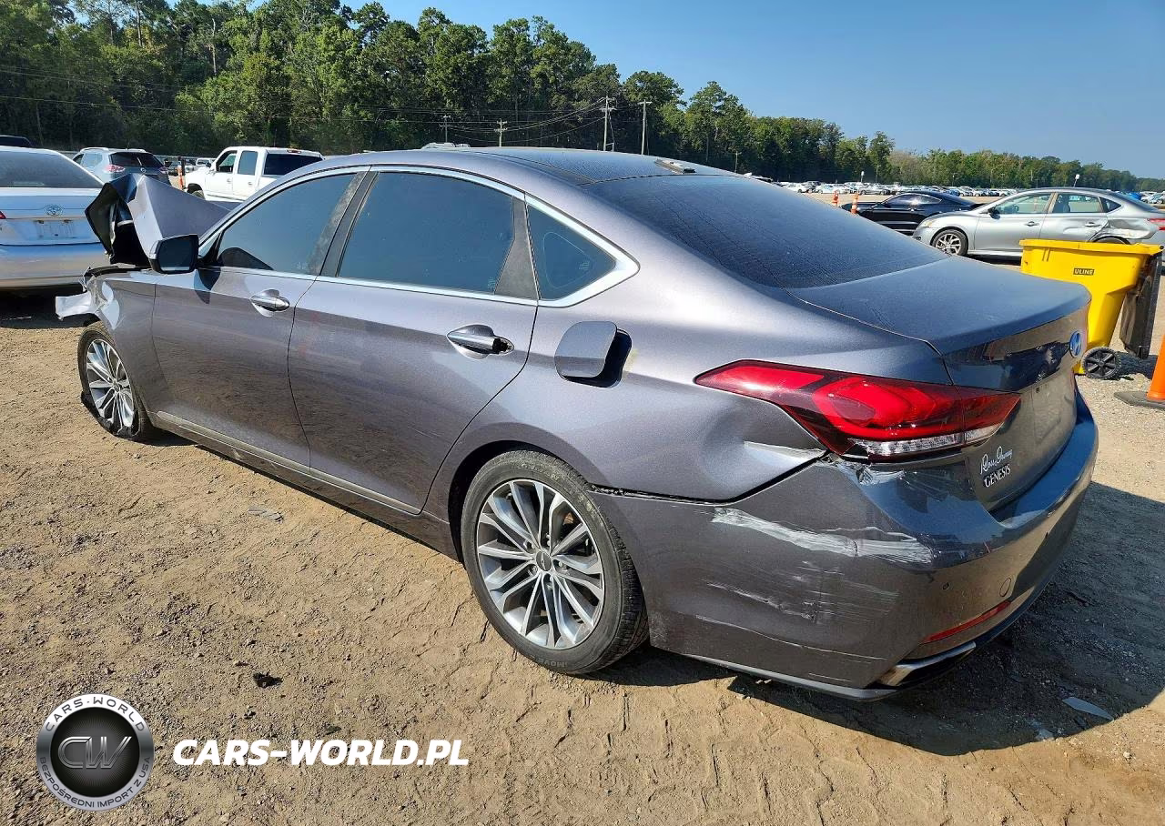 2015 Hyundai Genesis 3.8L VIN:KMHGN4JE6FU070116 - 2