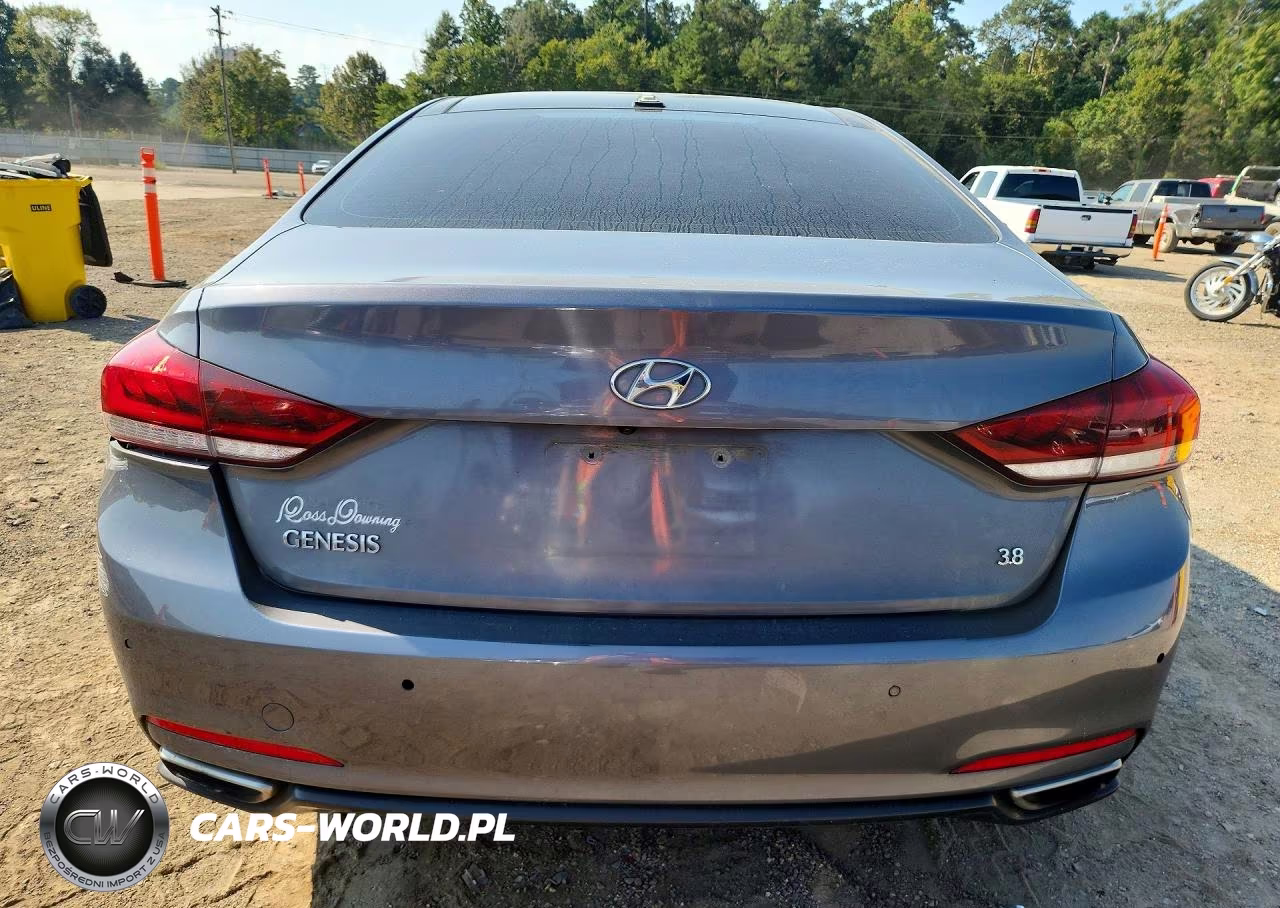 2015 Hyundai Genesis 3.8L VIN:KMHGN4JE6FU070116 - 6