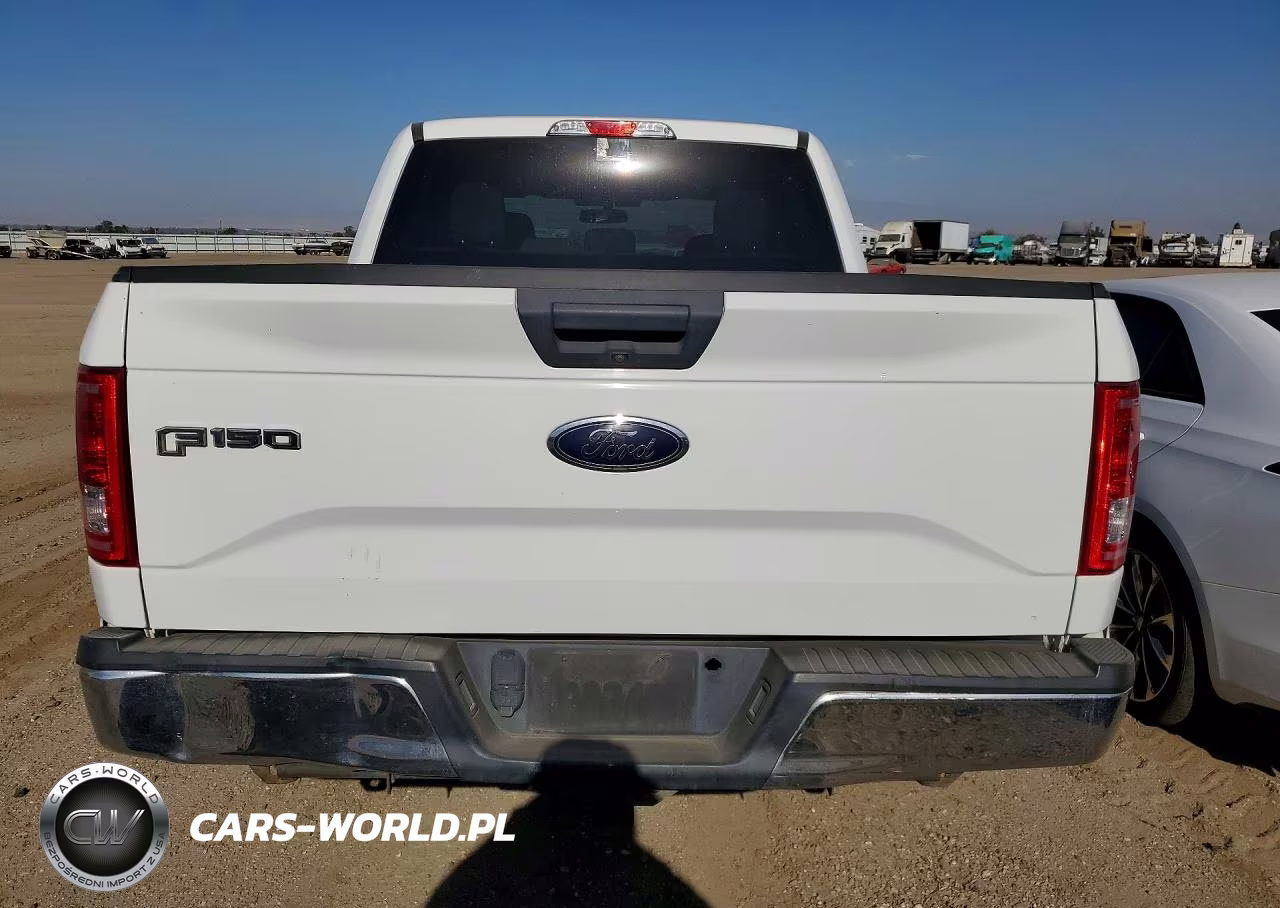 2017 Ford F150 Supercrew VIN:1FTEW1EP9HFA28016 - 6