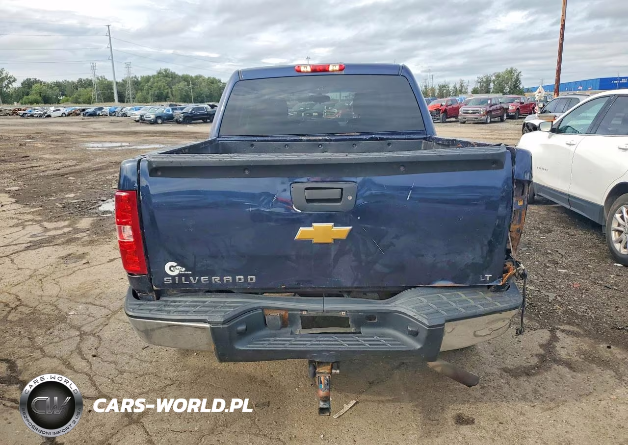 2009 Chevrolet Silverado K1500 VIN:3GCEK13C59G138654 - 6